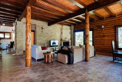 Casă cu 3 camere în Pietriceaua - 8