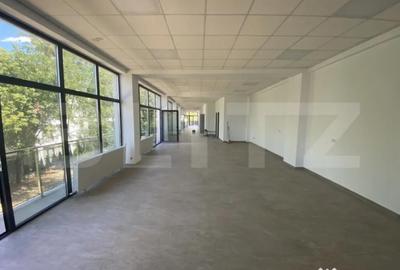 Spațiu comercial, de 240 mp, în Brazda lui Novac - 1
