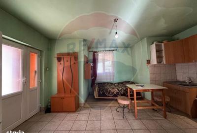 Casă cu 2 camere cu Teren 1172 Mp în Bodrogu Nou - 12
