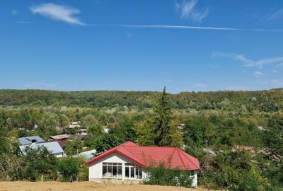 Casă cu 4 camere în Coțofenești - 2