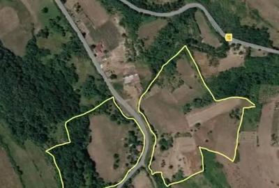 Teren de 67000 mp, în Orbău - 8