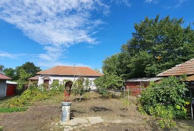 Se vinde casa in jud. Teleorman - 2