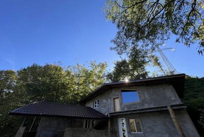 Casă cu 3 camere în Homorâciu - 3