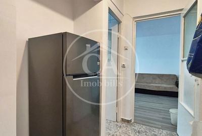 Apartament cu 2 camere semidecomandat în Seleuș - 9
