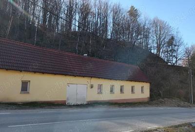 Casă cu 3 camere cu Teren 729 Mp în Văliug - 1