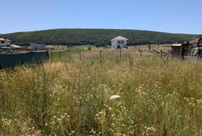 Casă cu 4 camere cu Teren 500 Mp în Gilău - 2