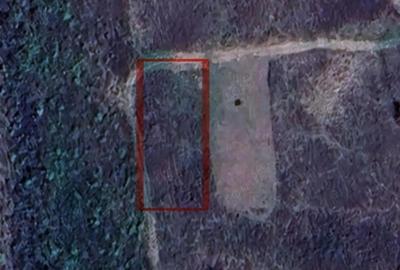 Teren de 650 mp, în Paleu - 2