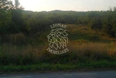 Teren agricol extravilan de 5500 mp, în Jelna - 5
