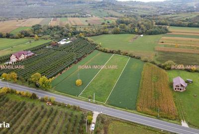 Spațiu comercial, în Central - 6