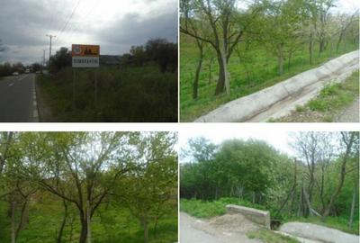 Teren extravilan livada cota parte 1/2 Candesti ID: R1965236 - 7