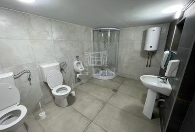 Inchiriere spatiu industrial Gruia - 3