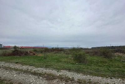 Spațiu comercial, în Bănești - 4