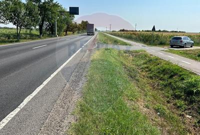 Teren Construcții intravilan de 20561 mp, în Vest - 10