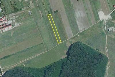 Teren de 5000 mp intravilan în Corbeanca – zonă rezidențială nouă Teren de 5000 mp intravilan în Corbeanca – zonă rezidențială nouă - 1
