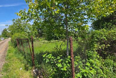 Teren agricol intravilan de 1500 mp, în Mărăcineni - 8