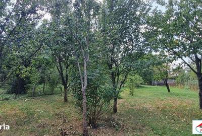 Casă cu 5 camere cu Teren 1374 Mp în Central - 3