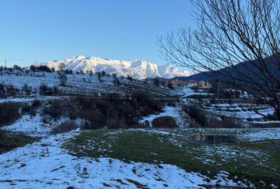 Teren Construcții intravilan de 667 mp, în Zărnești - 1