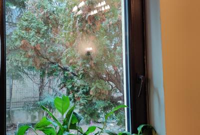 Casă individuală cu 4 camere cu Canalizare în Parcul Carol - 3