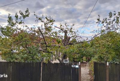 Spațiu comercial, în Valea Călugărească - 3