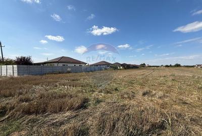 Vand teren intravilan 10.000 mp in Sabareni - 9