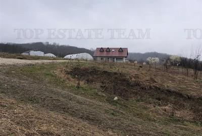 Casa de vanzare in Stanomiru  Judetul Valcea cu un teren in suprafata de 320000 - 4