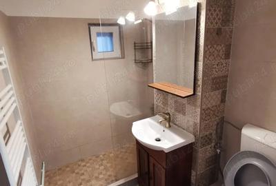 Apartament cu 2 camere semidecomandat în Lugojului - 9