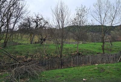 Spațiu comercial, în Teșila - 3