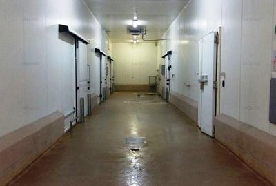 Spatiu industrial Bartolomeu/ Depozit frigorific - 4