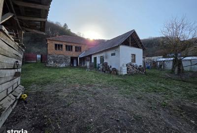 Casă cu 4 camere cu Teren 1887 Mp în Burjuc - 9