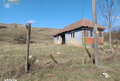 Casă cu 2 camere cu Teren 2698 Mp în Cătina - 2