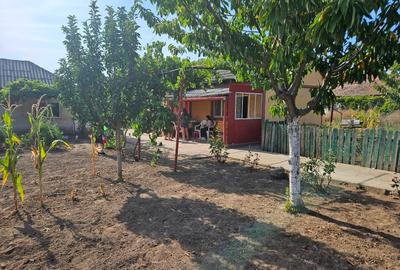 Vând 1420mp in Mihail Kogalniceanu constanta cu casa bătrânesca - 3