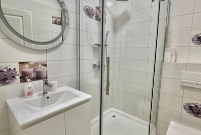 Apartament cu 2 camere decomandat, mobilat în Dumbrăvița - 11