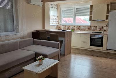 Apartament cu 2 camere decomandat în Tia Mare