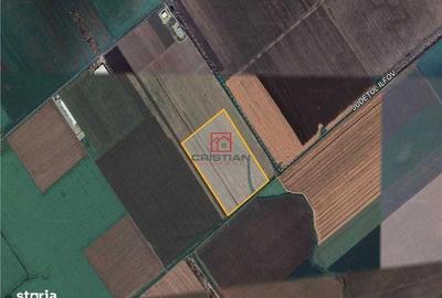 Teren de 190000 mp, în Găneasa - 2