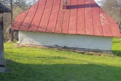 2 camere, 4000 mp,langa lacul Vidraru - 9