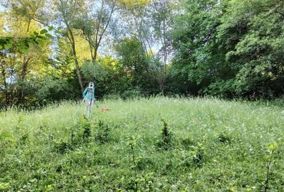 Spațiu comercial, în Bran - 6