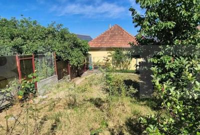 Casă cu 2 camere cu Teren 100 Mp în Dej - 8