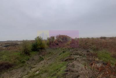 Teren agricol extravilan de 5000 mp, în Corbeanca - 14