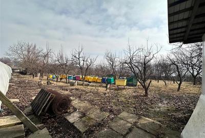 Spațiu industrial, de 400 mp, în Dumești - 11