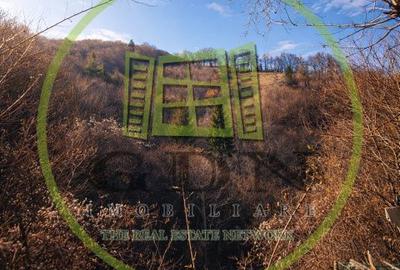 Spațiu comercial, în Schei