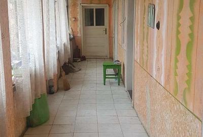 Casă cu 3 camere cu Teren 1500 Mp în Fibiș - 4