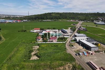 Teren 4.844mp intravilan Scheia | Suceava - 2