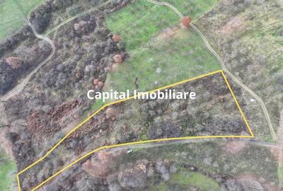 Teren de vanzare in Gro?i, Maramure?, 55 ari - 1