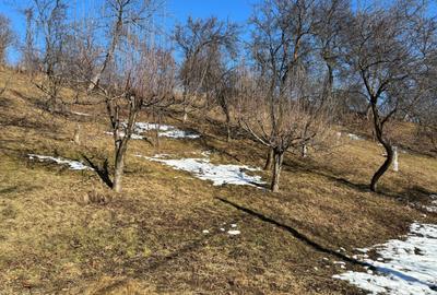 Casa gospodarului, bine întreținută, cu teren generos – Comarnic - 14