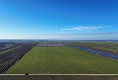 Vanzare teren agricol, oportunitate investitie, Giurgiu, Valter Maracineanu - 1