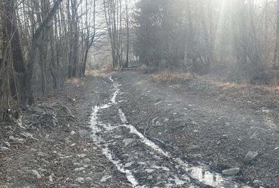 Vand casa+teren 5300 mp Breaza de Sus Nistoresti Prahova - 8