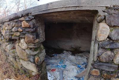 Casă cu 3 camere în Sibiel - 9