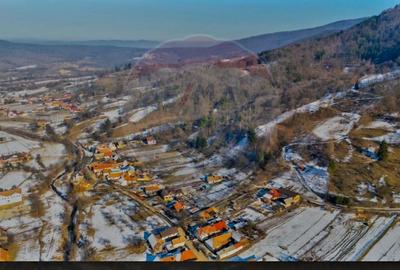 CASA 3 CAMERE SINCA NOUA / 5650 mp teren - 12