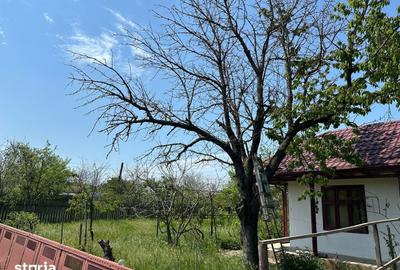 Casă cu 5 camere cu Teren 1422 Mp în Alexeni - 3