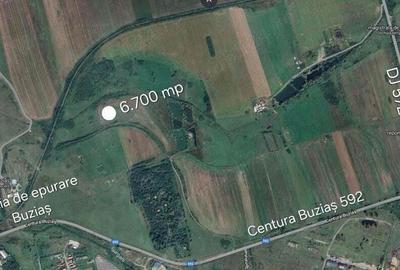 Vand parcela de 6.700 mp teren arabil la periferia orasului Buzias - 1